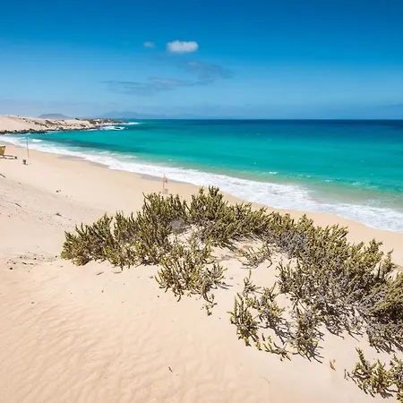 아파트 Home2book Urban Ii 그란 타라할