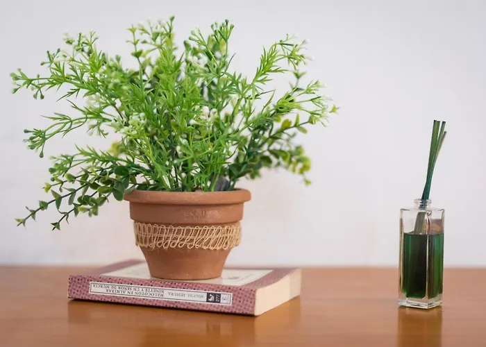 Home2book Urban Ii Apartament Gran Tarajal