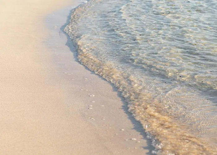 Apartament Home2book Urban Ii